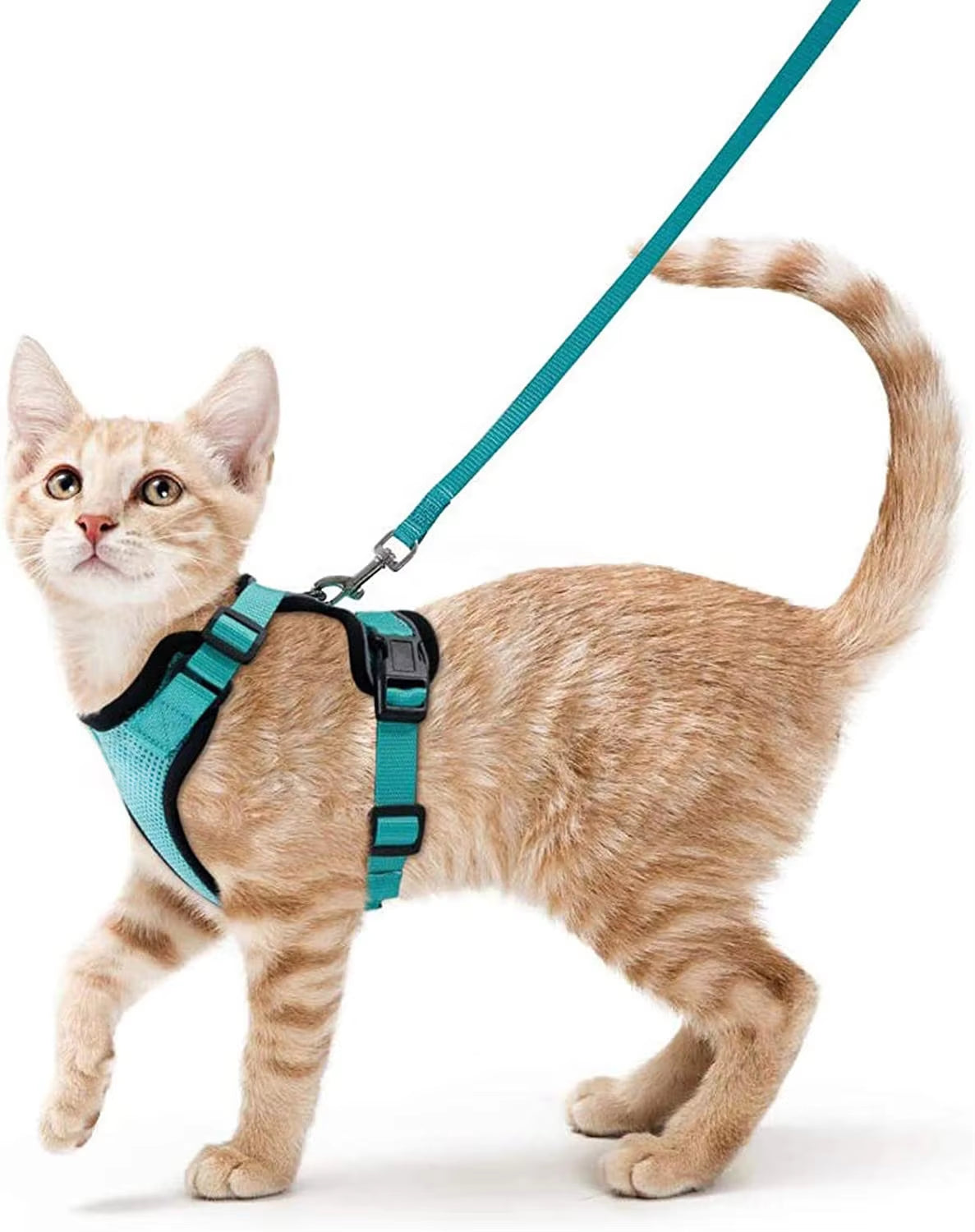 Cat Harness and Leash Set for Walking - Escape-Proof Adjustable Soft Vest Harness for Cats with Easy Control