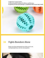 Interactive Dog & Cat Treat Ball - Natural Rubber Dental Chew & IQ Toy