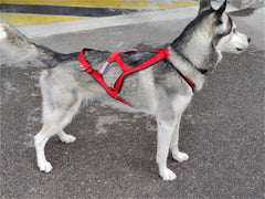 Reflective Padded Dog Sledding & Weight Pulling Harness for Large Dogs