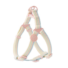 Iridescent Color-Block Dog Collar Leash & Comfort Harness