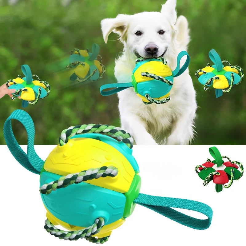 Pet Toys: Interactive Frisbee Soccer & Training Ball for Dogs