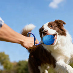 Interactive Dog Ball Smart Waterproof Bouncing Moving Dog Ball Pet Toys for Enrichment Stimulation Busy Exercise Fetch Puppy