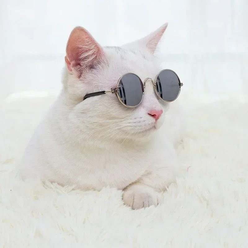 Fun Kitty Sunglasses