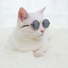 Fun Kitty Sunglasses