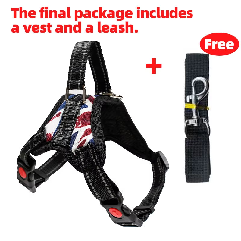 Adjustable Dog Cat Harness with Leash Outdoor Small Medium Large Pet Chest Strap Dog Walking Training No Pull Saddle Vest Collar