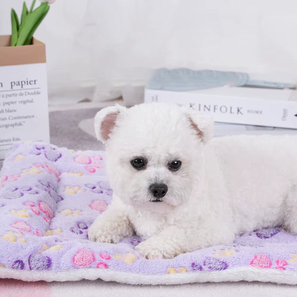 Luxury Cat Bed and Furniture Collection: Cozy Cushions and Warm Accessories for Your Pet's Home