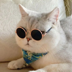 Fun Kitty Sunglasses