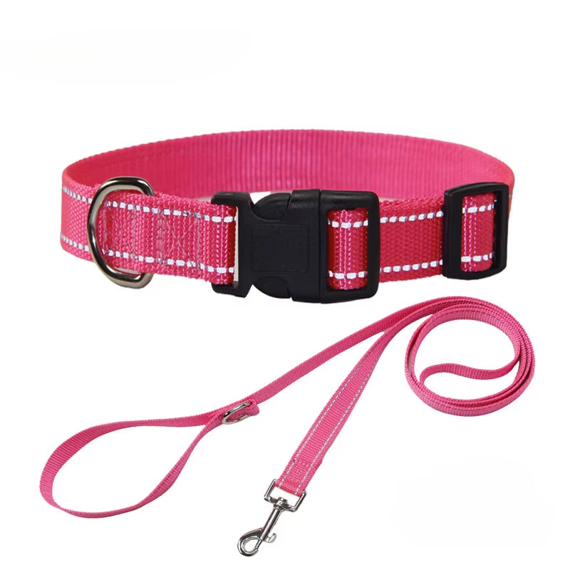 NightGuard Nylon Dog Collar & Leash