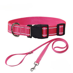 NightGuard Nylon Dog Collar & Leash