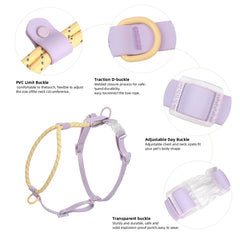 Dogs Leash Harness Set - Summer Special - No Pull Safety Reflective Nylon Leashes