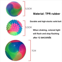 Dogs Glowing Elastic Ball For Training