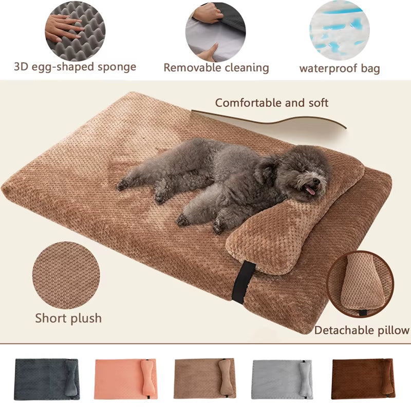 Pets Mats And Pillow Set - Pawzation Special