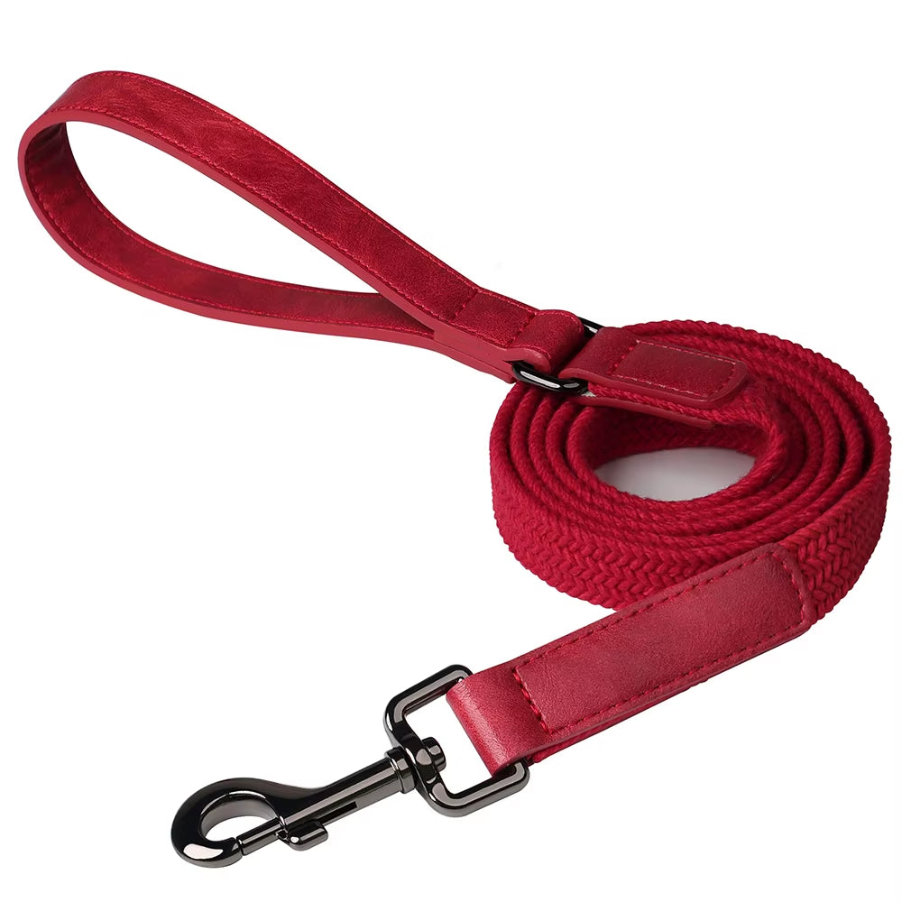 5ft Durable Nylon Dog Leash with Soft PU Leather Handle – Strong Walking Lead for Small Medium and Large Dogs