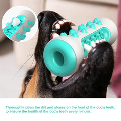 Extra-Tough Elastic TPR Dog Molar Toothbrush Toy - 360-Degree Depth Dental Care Cleaning Chew Stick for Puppies, Medium, and Large Dogs