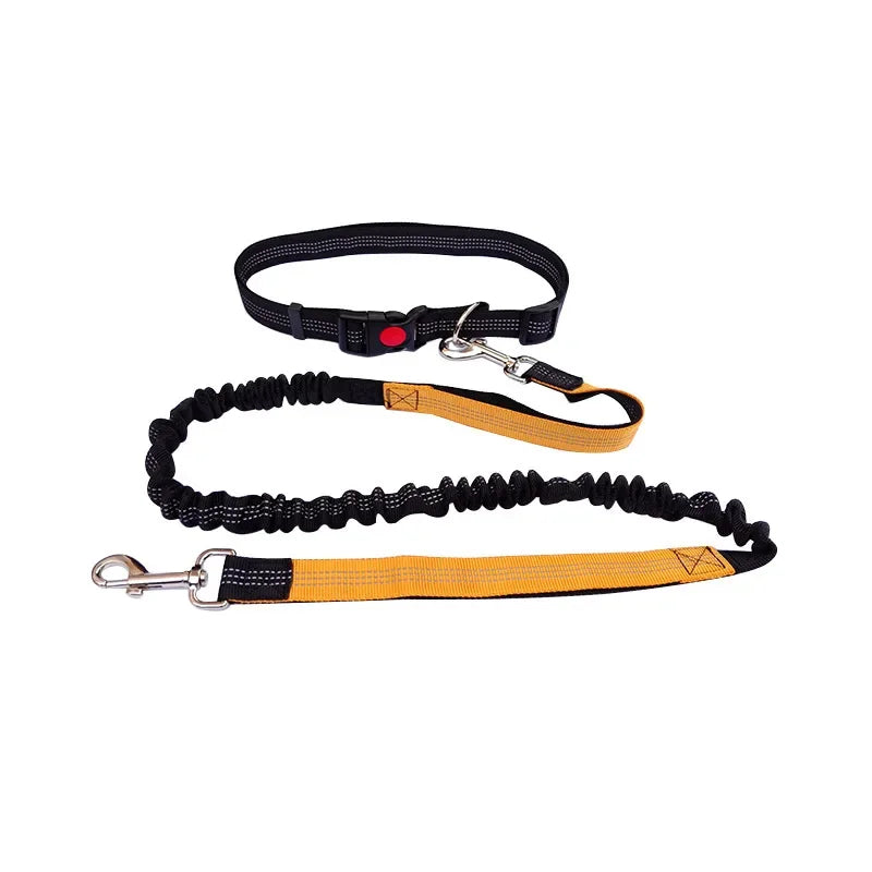 Hands-Free Dog Leash with Adjustable Waist Belt and Shock-Absorbing Bungee - Reflective Running, Jogging, and Walking Traction Rope for Small, Medium, and Large Dogs