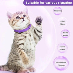 Cat Calming Collar 3-Pack & 4-Pack - Natural Pheromone Anxiety Relief