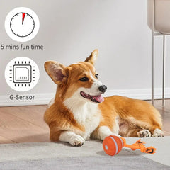 Smart Interactive Dog & Cat Rope Ball - Electronic Motion Toy (Blue/Red)