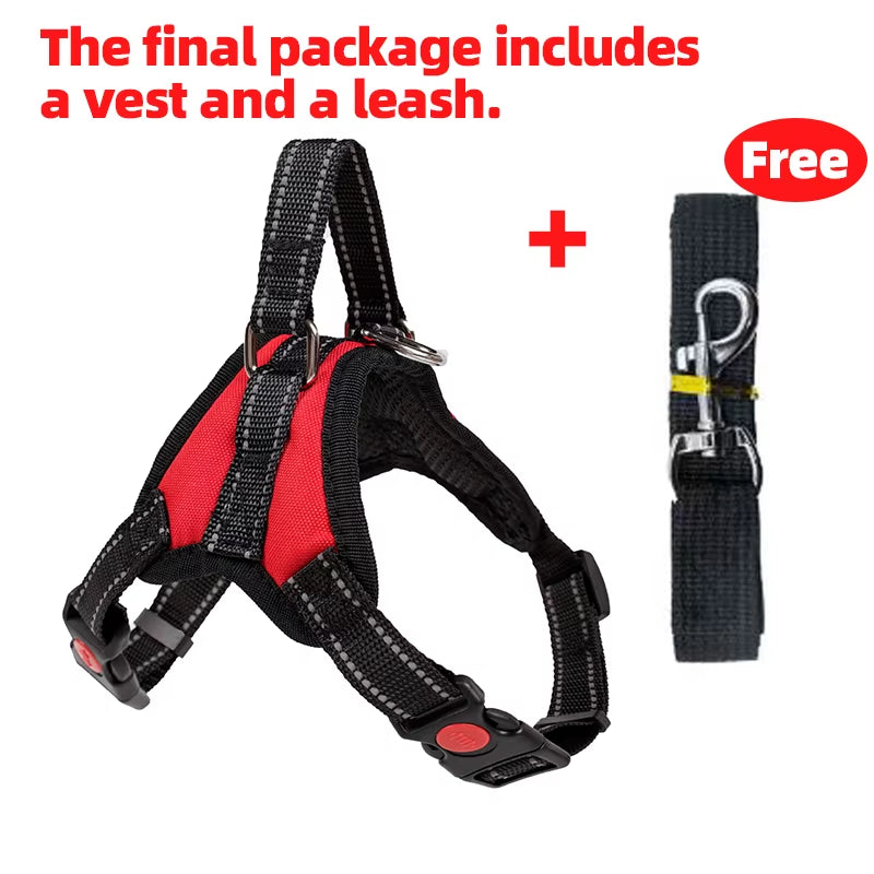 Adjustable Pet Harness with Leash for Dogs and Cats - No-Pull Saddle Vest for Outdoor Walking and Training, Suitable for Small, Medium, and Large Pets