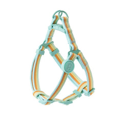 Iridescent Color-Block Dog Collar Leash & Comfort Harness