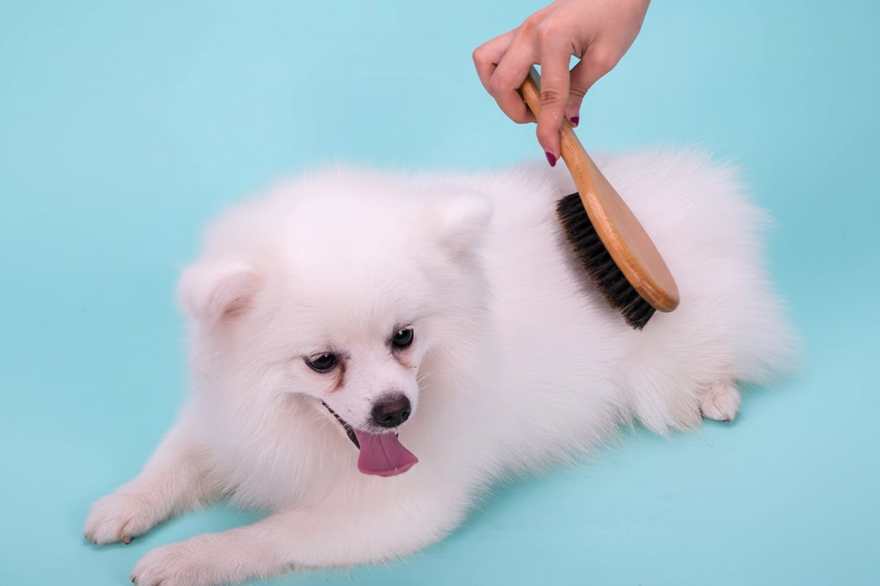 Natural bamboo pet grooming brush with soft bristles for brushing dogs and cats