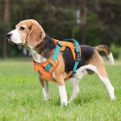 Breathable Mesh Adjustable Dog Harness – Reflective Nylon Training Vest with Lift Handle
