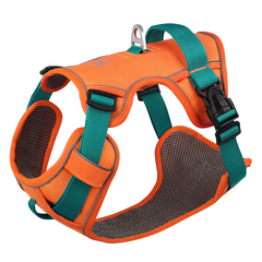 Breathable Mesh Adjustable Dog Harness – Reflective Nylon Training Vest with Lift Handle