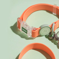 Candy Color Dog Collar and Leash Set with Transparent Buckle – Adjustable Pet Collar for Small to Medium Dogs and Cats