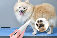Dog paw being trimmed with a white LED pet trimmer.