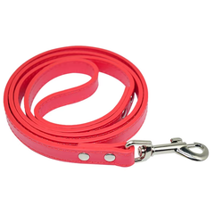 Genuine Leather Dog Leash with Metal Hardware – Durable Soft Training Lead
