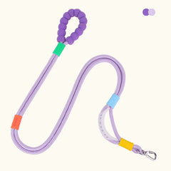 A purple hands‑free dog running leash with padded handle and durable rope design, shown with colorful connector bands and metal clasp.