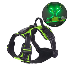 Rechargeable LED Dog Harness – Reflective, Adjustable, No-Pull Glow Vest for Night Walks