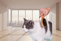 Eco‑friendly bamboo pet brush for removing loose fur and smoothing coat