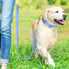 Waterproof PVC Dog Collar & Leash Set with P‑Chain Training Mode | Premium Odor-Proof & Easy-Clean Pet Walking Gear