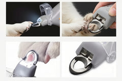 Illustrated overview showing the LED‑illuminated pet nail clipper in use, highlighting the magnifier, bright lights, steel blade, and safe trimming design.