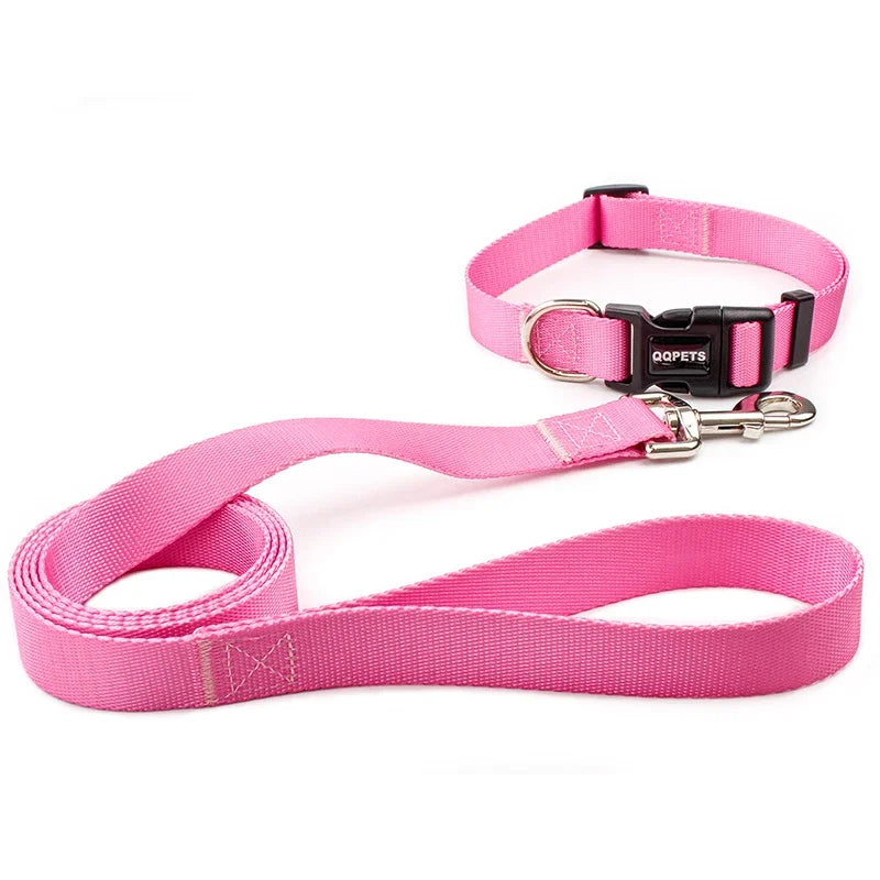 Pink dog collar and leash set on a white background