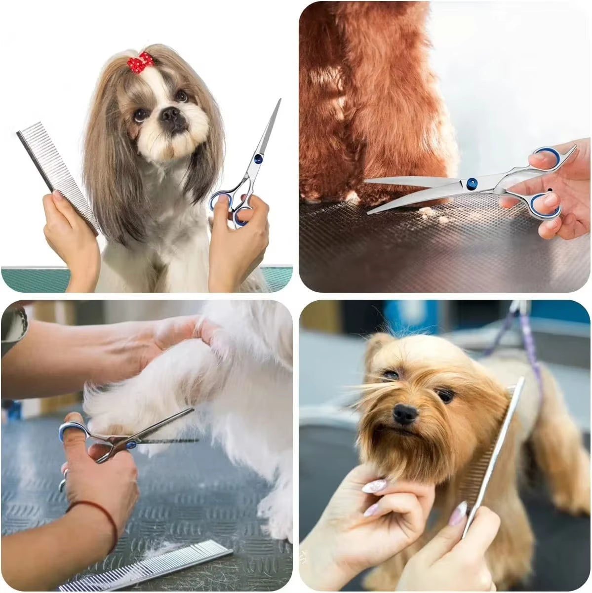 Different dog grooming scenes showing pets having their fur trimmed, shaped, and styled using professional stainless steel grooming scissors and a metal comb.