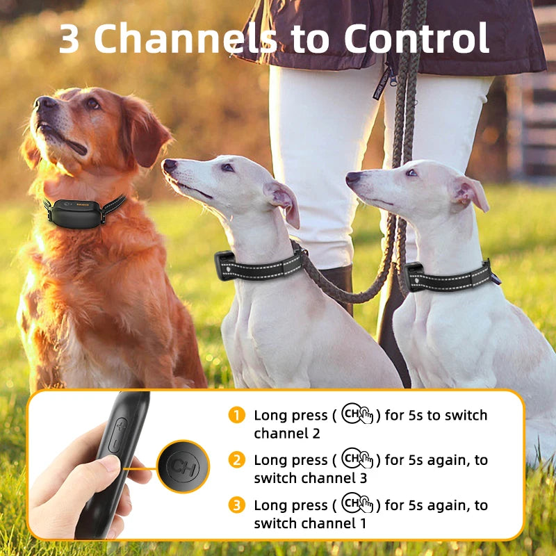 Rechargeable Pet Training Collar and Remote with USB Charging Cable 3 Channels to Control