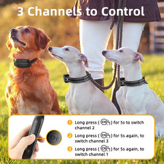 Rechargeable Pet Training Collar and Remote with USB Charging Cable 3 Channels to Control