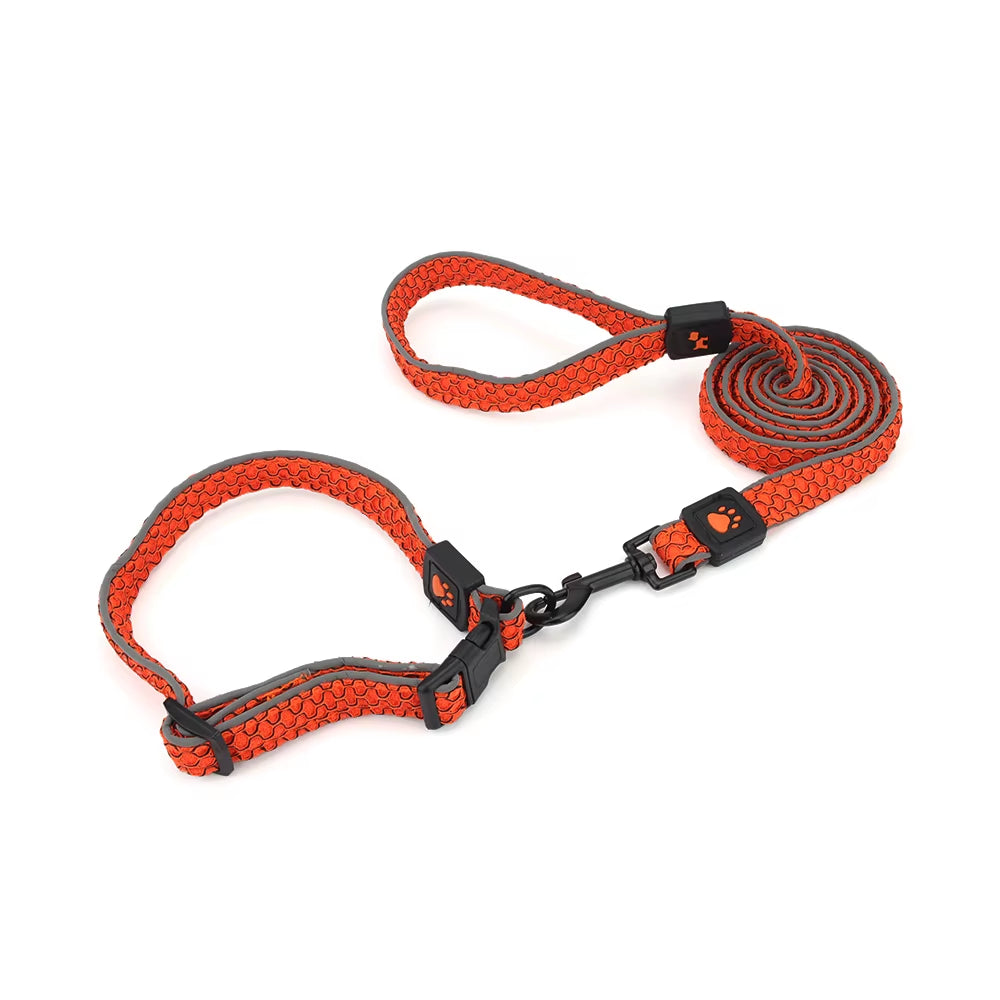 Reflective orange dog collar and matching leash with durable woven texture