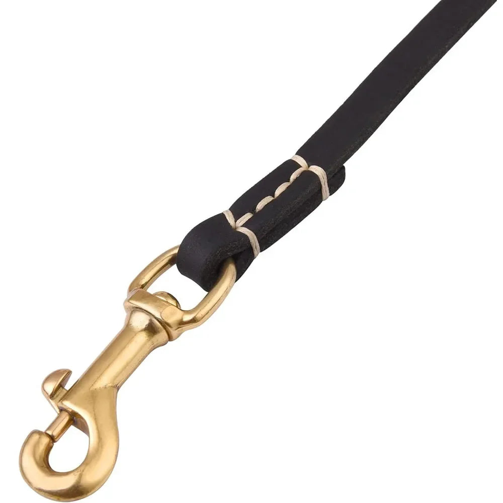 Soft Genuine Leather Dog Leash for Puppies & Small Dogs – Training Lead with Brass Hardware