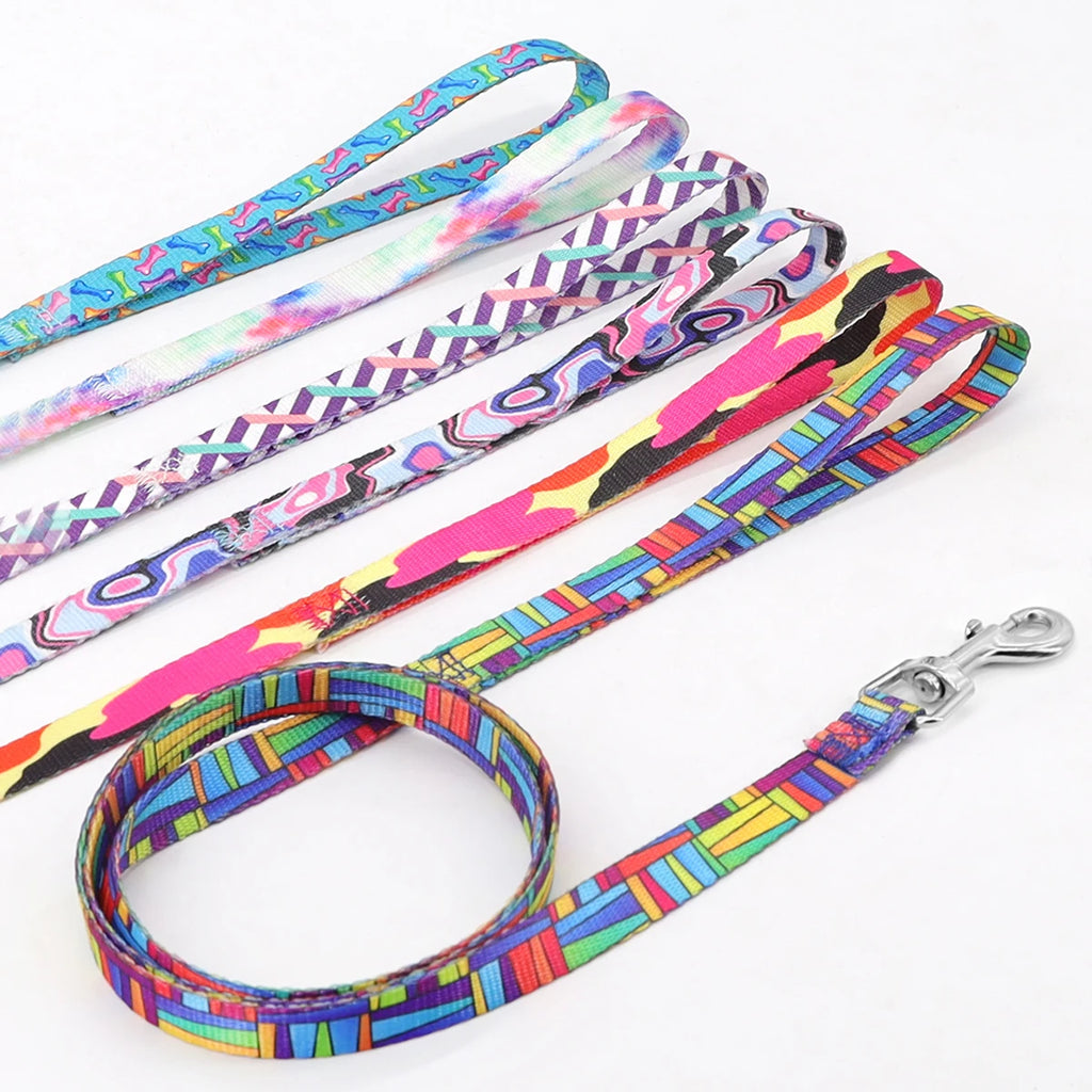 A Pet Leash Cartoon Print Colorful Braided Leash Outdoor Dog Walking Rope