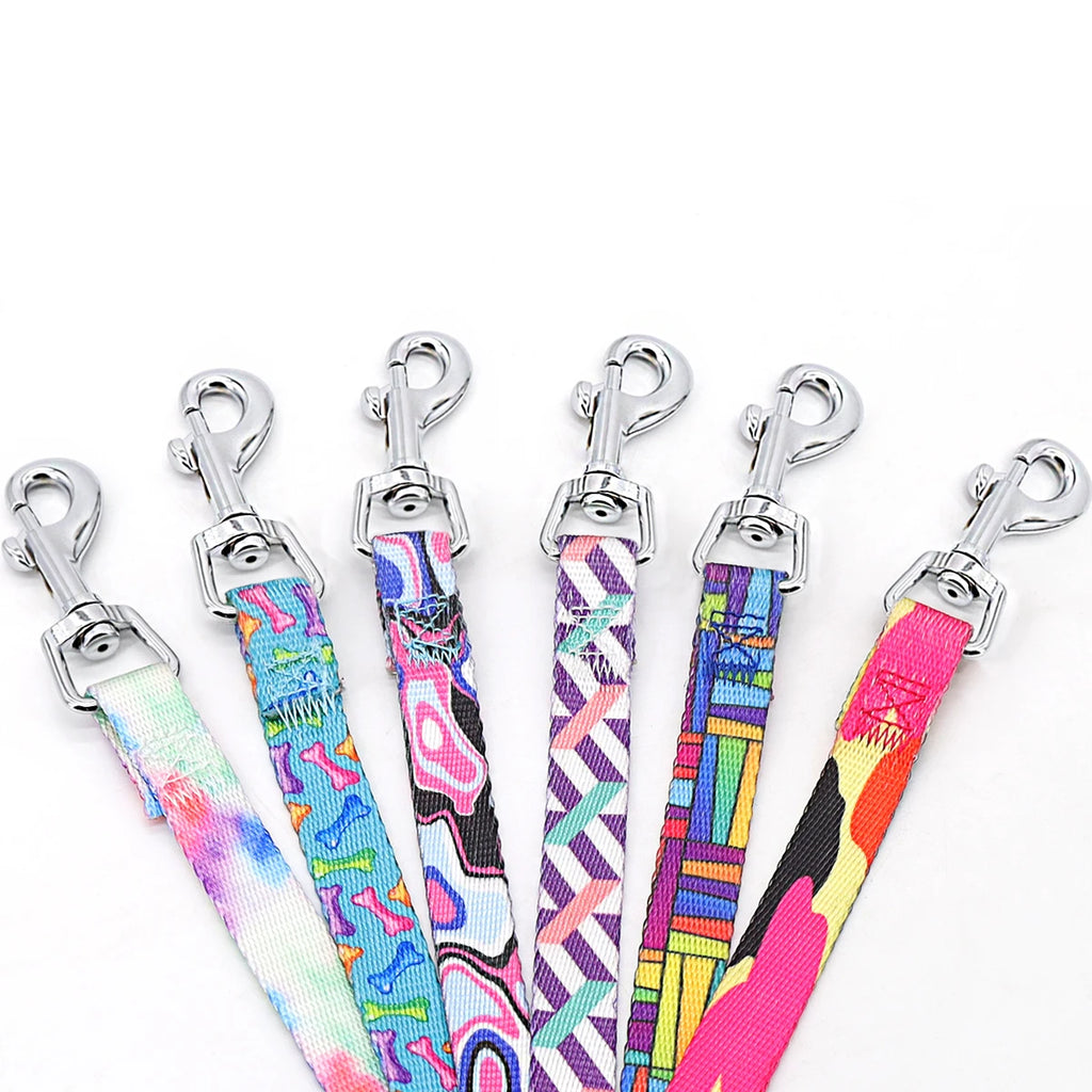 A Pet Leash Cartoon Print Colorful Braided Leash Outdoor Dog Walking Rope