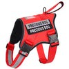 Dog Harness Reflective Breathable and Adjustable No-Pull Dog Vest Harness for Small Medium Large Dogs