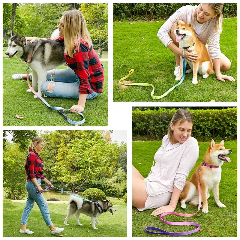 Nylon Adjustable Dog Collar Leash Lead Pet Cat Dog Collar Traction Leash Suitable for Small Large Dogs Bulldog Pugs Beagle