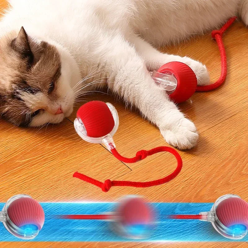 Automatic Rolling Ball Interactive Pet Toy with Rechargeable Electric Function for Cats and Dogs - Imitates Mouse Movement