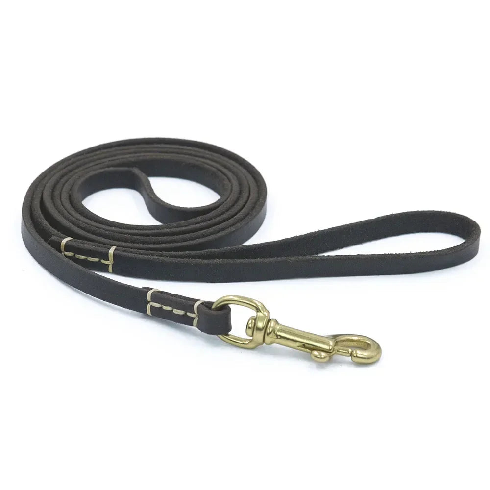 Soft Genuine Leather Dog Leash for Puppies & Small Dogs – Training Lead with Brass Hardware