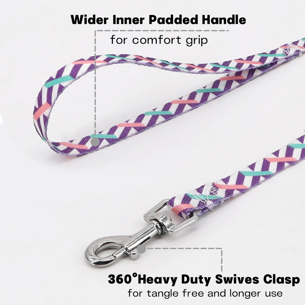A Pet Leash Cartoon Print Colorful Braided Leash Outdoor Dog Walking Rope