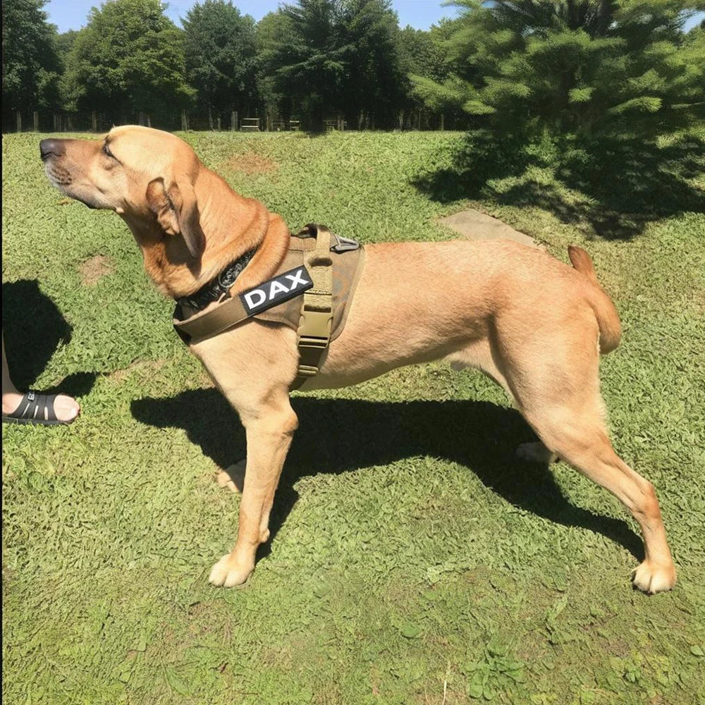 Tactical Dog Vest Training Military Patrol Service Dog Harness Adjustable Nylon Dog Harness with Handle Dog Summer Clothes