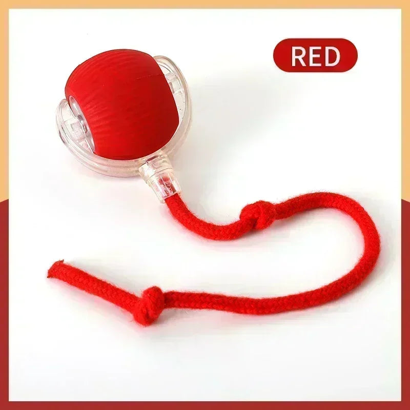 Automatic Rolling Ball Interactive Pet Toy with Rechargeable Electric Function for Cats and Dogs - Imitates Mouse Movement