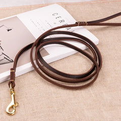 Soft Genuine Leather Dog Leash for Puppies & Small Dogs – Training Lead with Brass Hardware